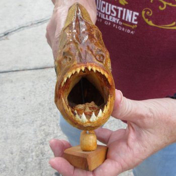 10" Dried Piranha Fish 