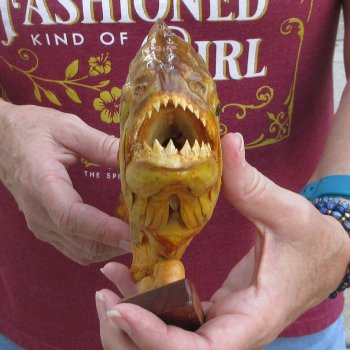 11" Dried Piranha Fish 