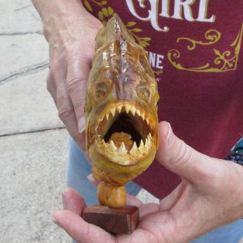 11" Dried Piranha Fish 