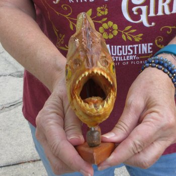 10" Dried Piranha Fish 