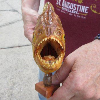 10" Dried Piranha Fish 