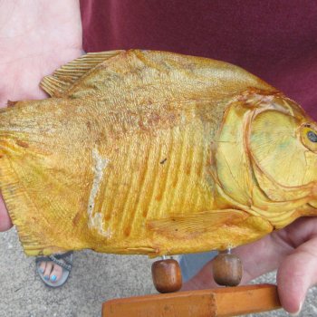 10" Dried Piranha Fish 