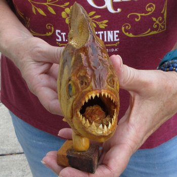 10" Dried Piranha Fish 