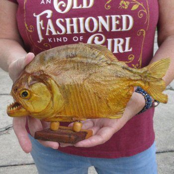 10" Dried Piranha Fish 