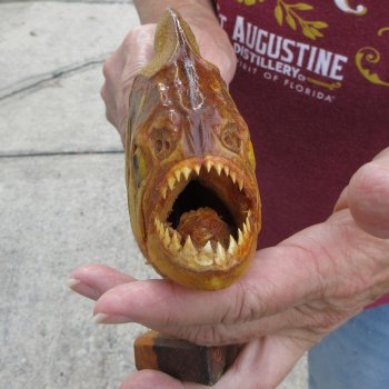 10" Dried Piranha Fish 