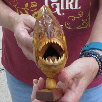 10" Dried Piranha Fish 