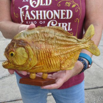 10" Dried Piranha Fish 