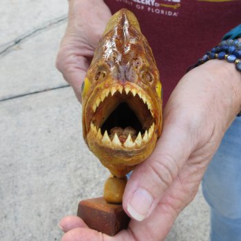 10" Dried Piranha Fish 