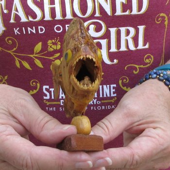 7" Dried Piranha Fish 