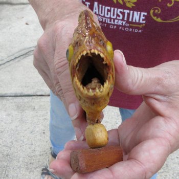 7" Dried Piranha Fish 