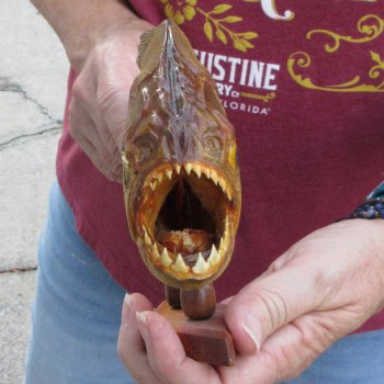 9" Dried Piranha Fish 