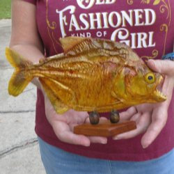 9" Dried Piranha Fish 