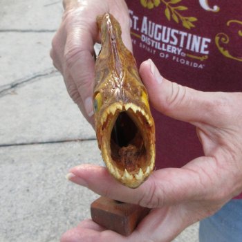 9" Dried Piranha Fish 