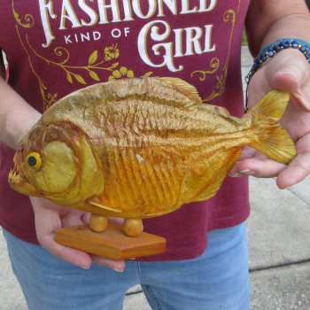 9" Dried Piranha Fish 