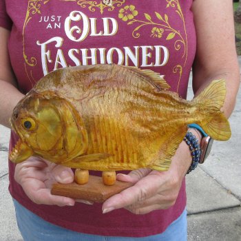 9" Dried Piranha Fish 