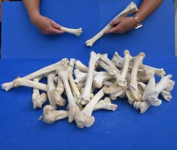 Thirty piece Deer L...