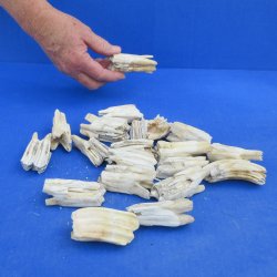 Twenty Assorted Ani...