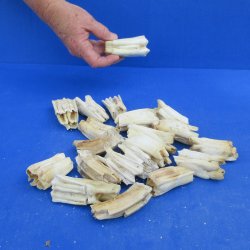 Twenty Assorted Ani...