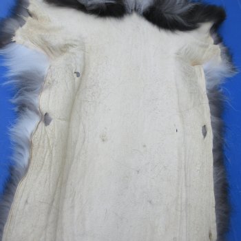 64" Platinum Fox Pelt-Darker, Tanned Hide