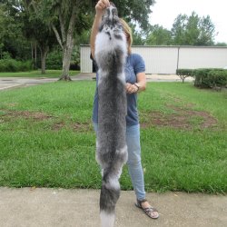 62" Artic Marb...
