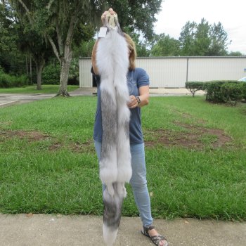 62" Artic Marble Fox Pelt, Tanned Hide