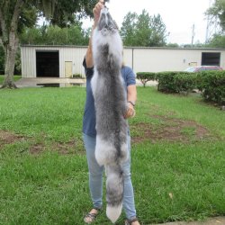 60" Artic Marb...
