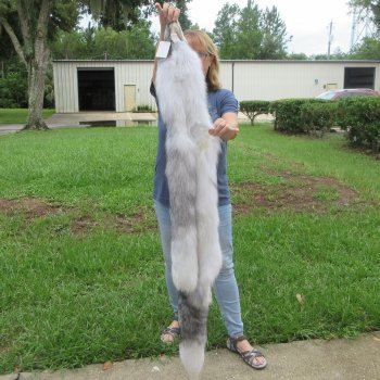 60" Artic Marble Fox Pelt, Tanned Hide