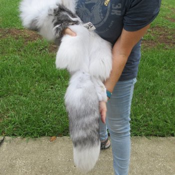 60" Artic Marble Fox Pelt, Tanned Hide
