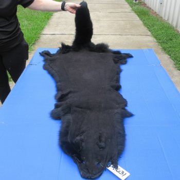 56" Dyed Black Fox Pelt, Tanned Hide