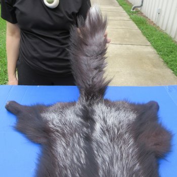 52" Silver Fox Pelt, Tanned Hide