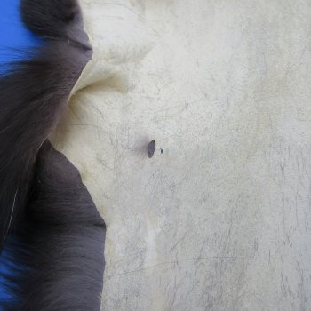 52" Silver Fox Pelt, Tanned Hide