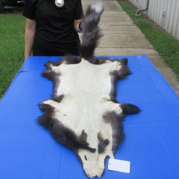 52" Silver Fox Pelt, Tanned Hide