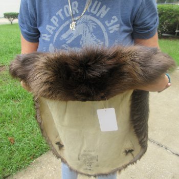 27" Beaver Fur Pelt, Tanned Hide 