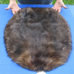 27" Beaver Fur...
