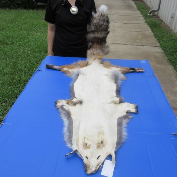 54" Gold Fox Pelt, Tanned Hide