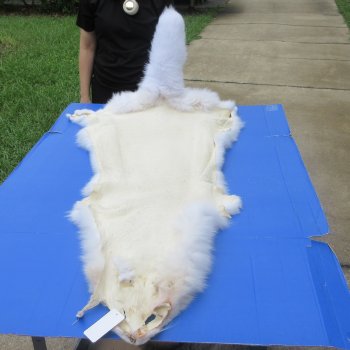 58" White Fox Pelt, Tanned Hide