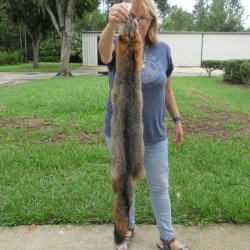 45" American G...