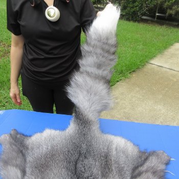 60" Indigo Fox Pelt, Tanned Hide