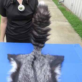 54" Silver Fox Pelt, Tanned Hide