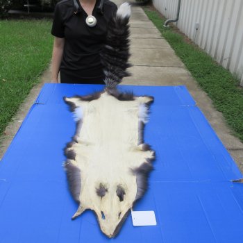 54" Silver Fox Pelt, Tanned Hide