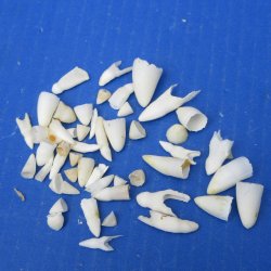 Lot of Broken/Piece...