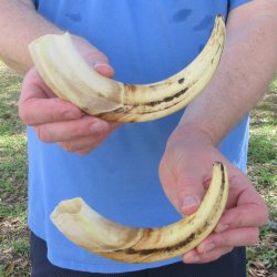 Matching pair of 9-...