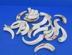 Bulk Authentic Afri...