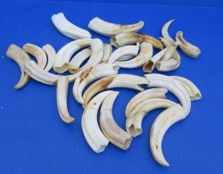 Bulk Authentic Afri...