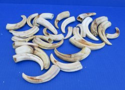 Bulk Authentic Afri...