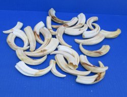 Bulk Authentic Afri...