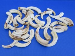 Bulk Authentic Afri...