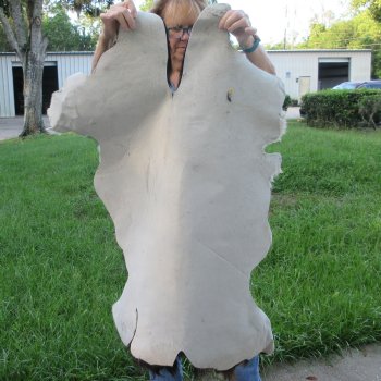 43" x 32" B-Grade Goat Hide 