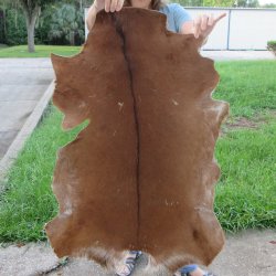 40" x 28"...