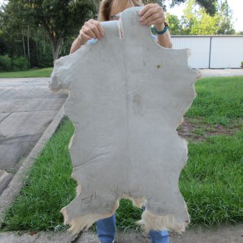 40" x 24" B-Grade Goat Hide 